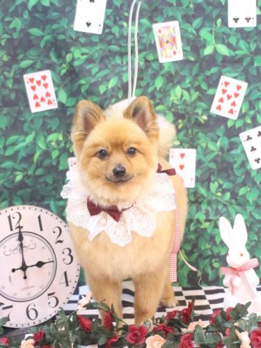 20250413ららちゃん